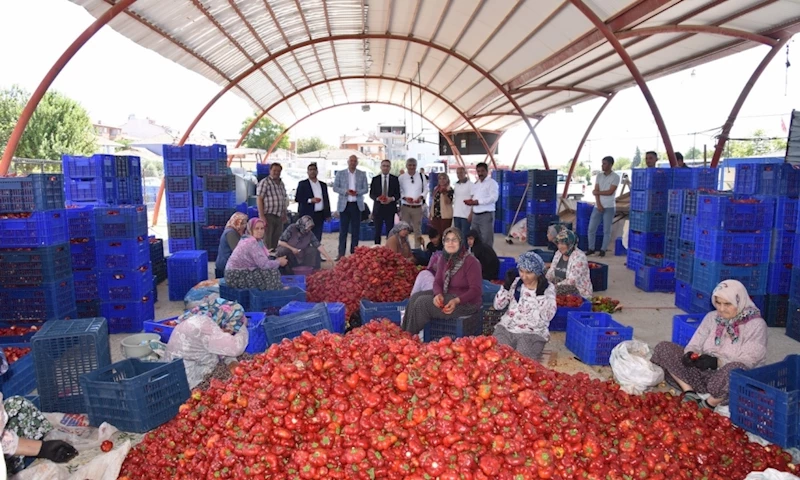 Biber Üretiminde Çalışan Kadınlara Koruyucu Ekipman