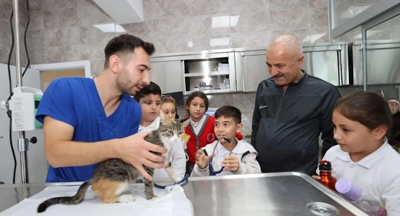 2023 Gebze’de Patili  Canların Yılı Oldu