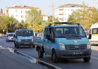 Buca Belediyesi, beyaz sineklere karşı ilaçlama başlattı