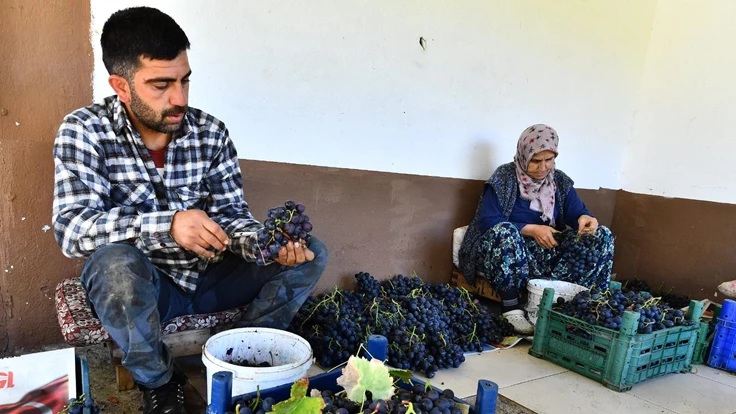 Hem üreticiye hem dar gelirliye destek