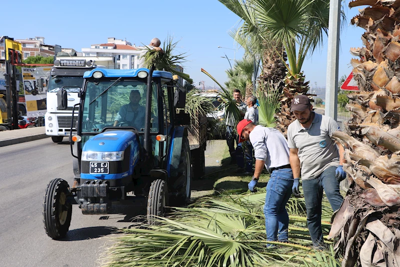 Büyükşehirden Muradiye-Menemen Yolundaki Yeşil Alanlara Bakım Çalışması