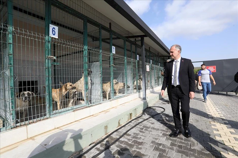 İnegöl’de Sokak Hayvanları İçin Yeni Adımlar Atılıyor