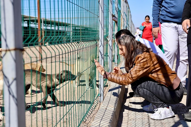 4 Ekim Dünya Hayvanları Koruma Günü