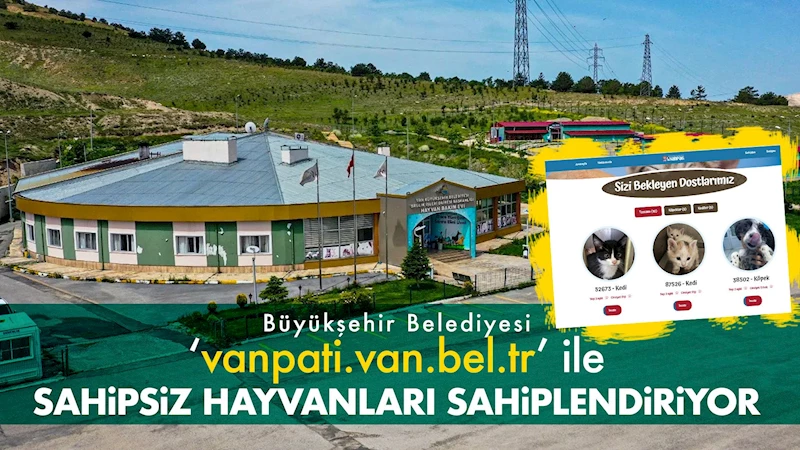 Büyükşehir Belediyesi ‘vanpati.van.bel.tr’ ile sahipsiz hayvanları sahiplendiriyor