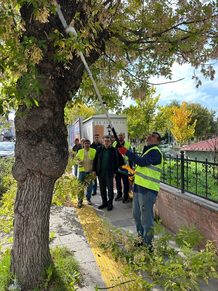 ARDAHAN BELEDİYESİ, SONBAHAR AĞAÇ BAKIM VE BUDAMA ÇALIŞMALARINA BAŞLADI