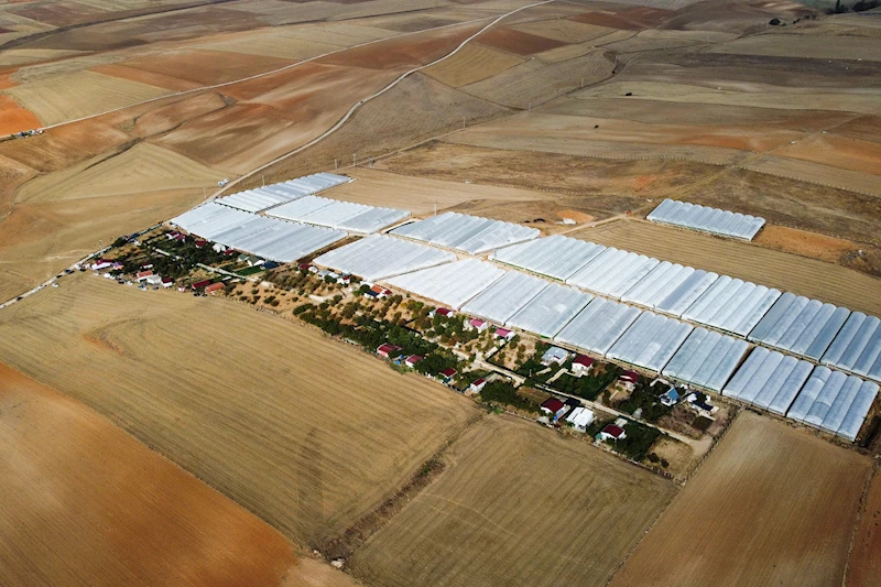 TARIM ARAZİLERİNDEKİ KAÇAK YAPILAR YIKILIYOR