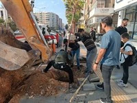 Mardin’de Ağaç Kesen Şahıslara Cezai İşlem Uygulanarak Yerine Fidan Dikildi