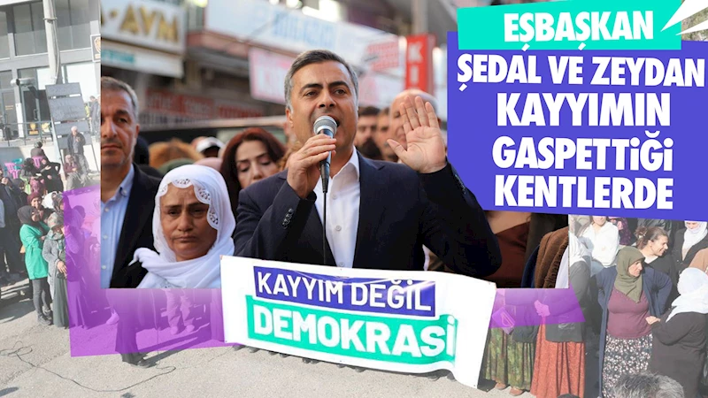 Eşbaşkan Şedal ve Zeydan kayyımın gaspettiği kentlerde