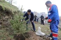 HER BEBEK BİR AĞAÇLA BÜYÜYOR: KÂĞITHANE