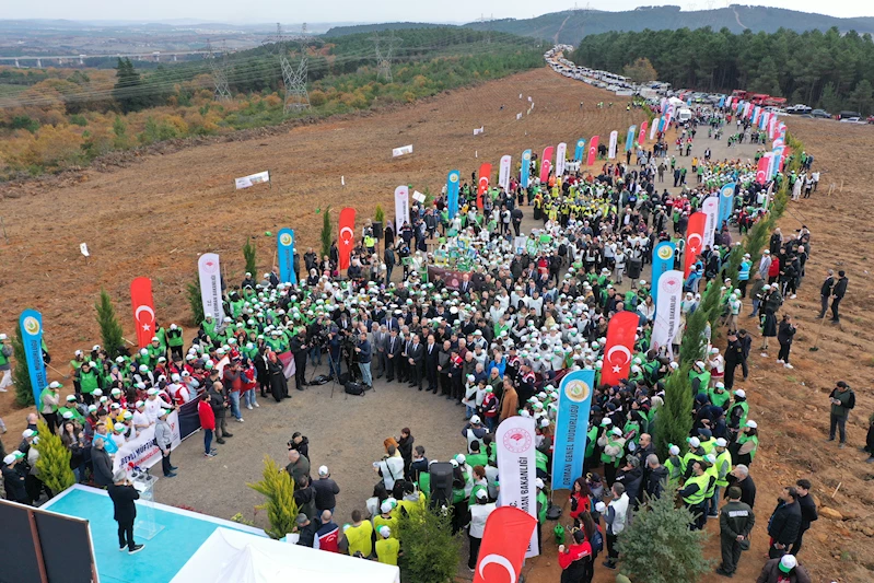 Pendik’te 10 Bin Fidan Toprakla Buluştu