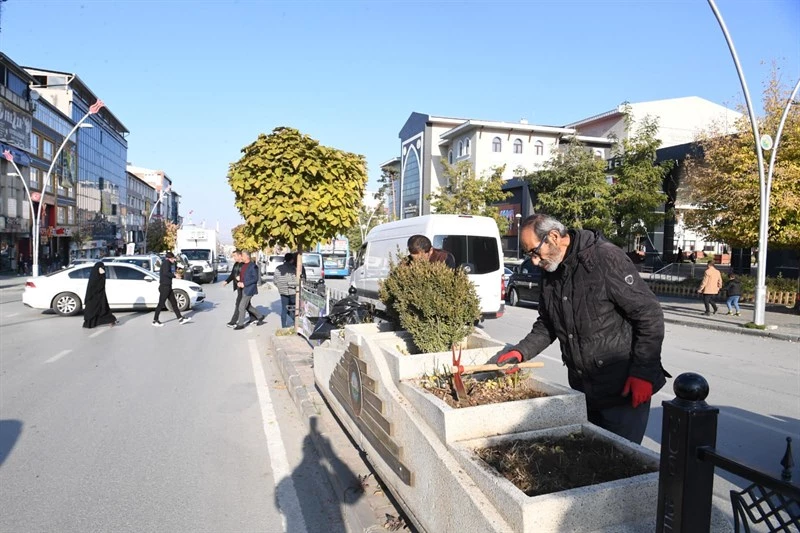 PEYZAJ ÇALIŞMALARI SÜRÜYOR