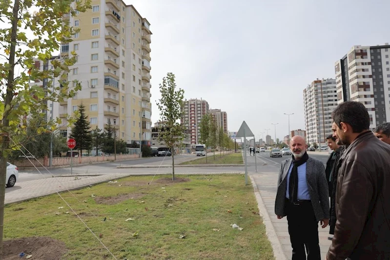 BAŞKAN ÇOLAKBAYRAKDAR, “BAHAR AYINDA, YEMYEŞİL BİR KAYSERİ İLE UYANACAĞIZ”