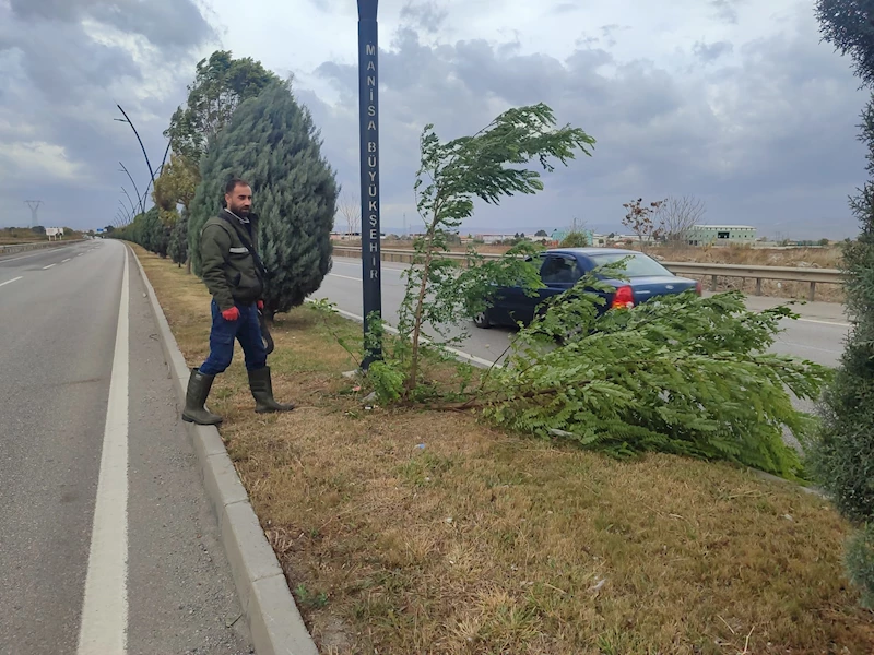 Fırtınanın Etkileri Ortadan Kaldırıldı