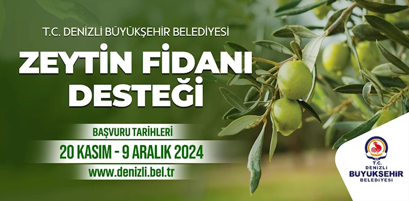 Büyükşehir’den çiftçilere 50 bin zeytin fidanı