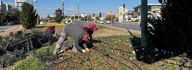 Seralarımızda Ürettiğimiz Bitkilerle Kenti Yeşillendirmeye Devam Ediyoruz