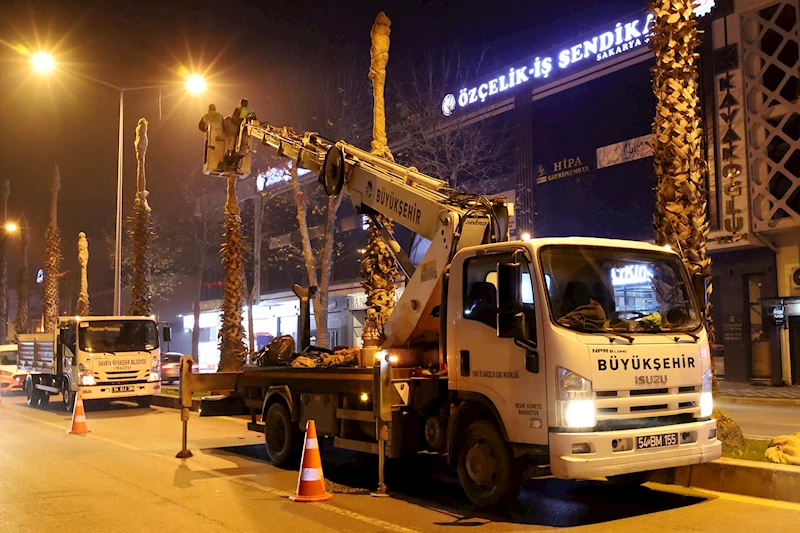 Büyükşehir’den şehrin süsü palmiyeler için dondurucu soğuklara karşı özel önlem