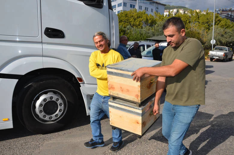 Büyükşehir Belediyesi Alanyalı bal  üreticilerine arı kovanı hibe etti