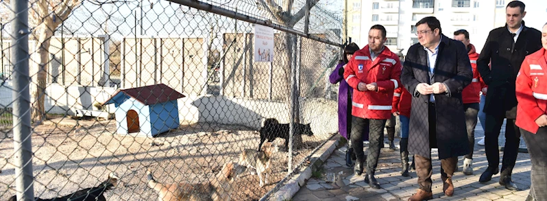 Başkan Erkek Sokak Hayvanları Bakım ve Rehabilitasyon Merkezi