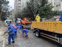 KÂĞITHANE’DE AĞAÇLARA MEVSİMLİK BAKIM ÇALIŞMALARI DEVAM EDİYOR