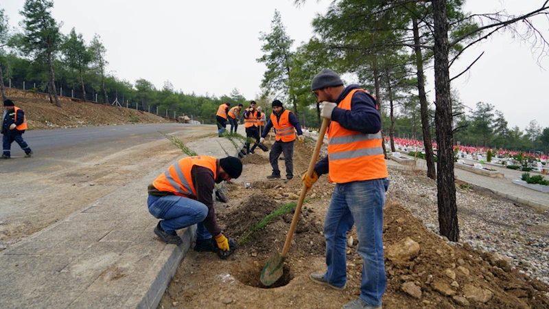 Büyükşehir Kapıçam’da Çevre Düzenleme Çalışmalarını Sürdürüyor