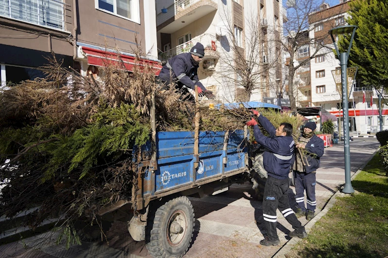 YUNUSEMRE’DE BUDANAN AĞAÇLAR EVLERİ ISITIYOR