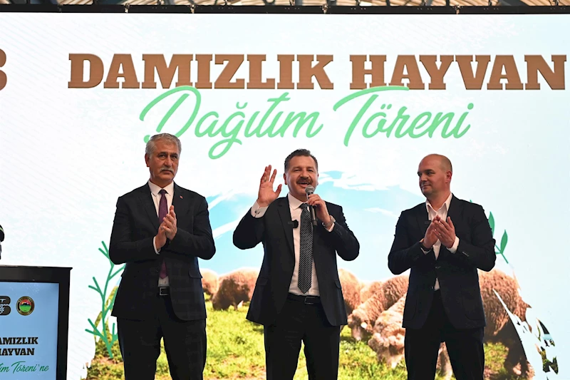 Büyükşehir, Savaştepe’de 550 Küçükbaş Dağıttı
