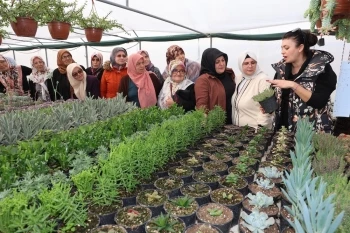 KADIN ÇİFTÇİLERE SÜS BİTKİSİ EĞİTİMİ