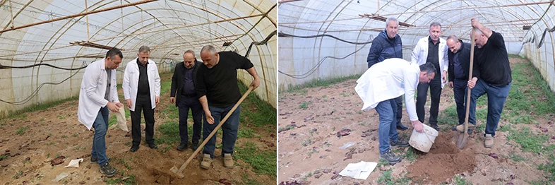 Büyükşehir’den örtü altı üreticiye destek