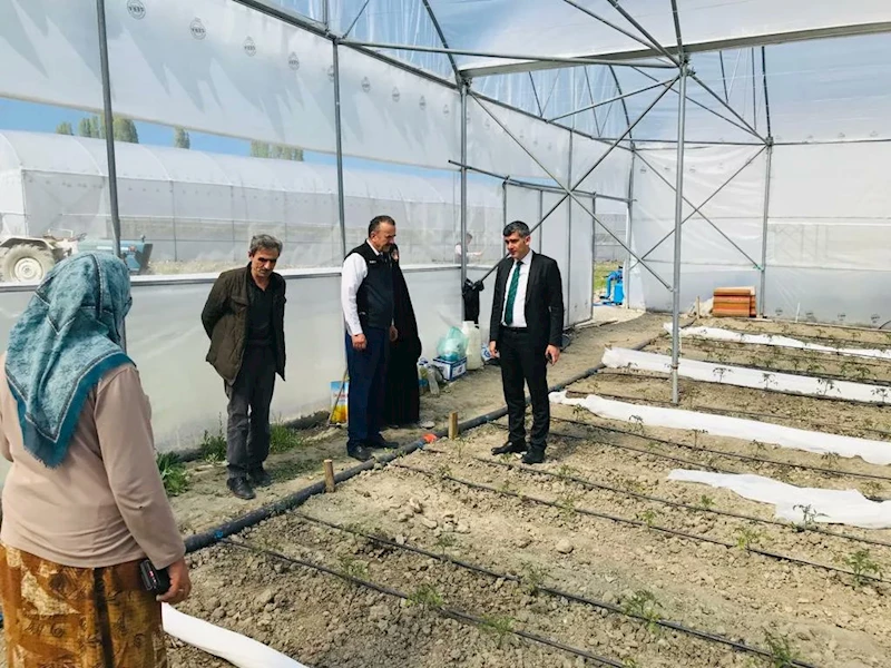 İyi Tarım Uygulamaları ve Örtü Altı Sebze Yetiştiriciliği
