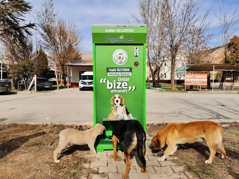 Onlar Bize Emanet !