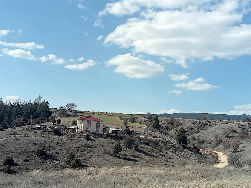Ilgaz