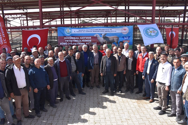 Büyükşehir’in Yaptığı Damızlık Koç Desteği Üreticilerin Yüzünü Güldürdü