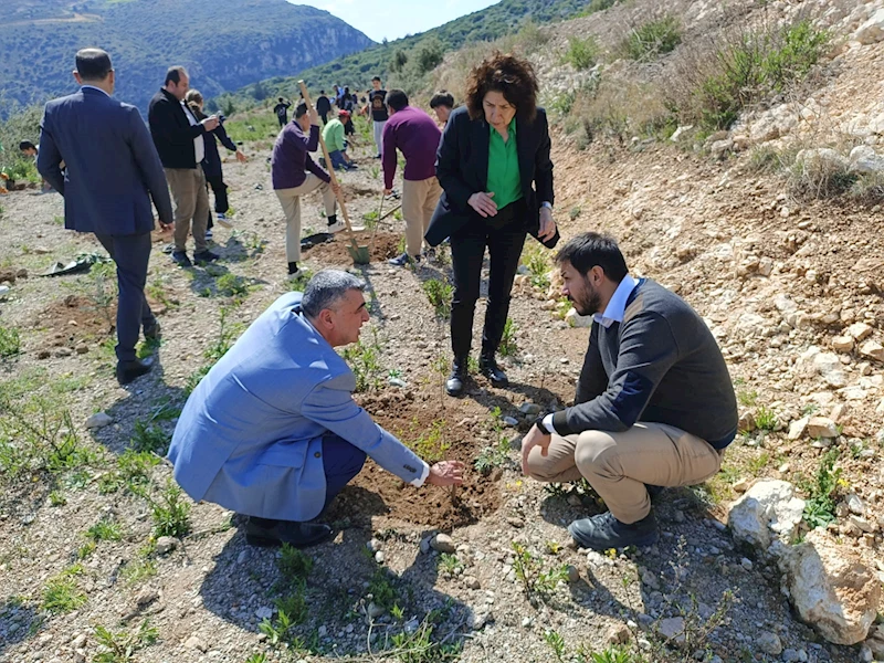 İZMİT BELEDİYESİ HATAY DEFNE’DE 600 ADET FİDANI TOPRAKLA BULUŞTURDU