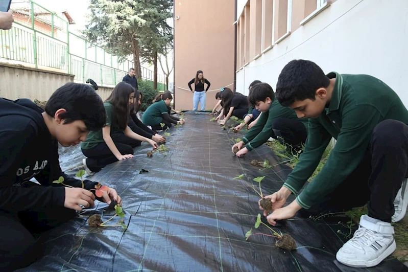 Çilek ve marul dikerek tarımla tanıştılar