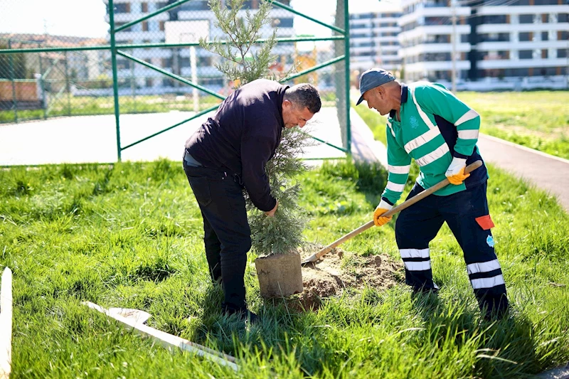 İLKBAHARIN GELMESİ İLE BİRLİKTE ŞEHİR GENELİNDE AĞAÇ DİKME SEFERBERLİĞİ BAŞLATILDI