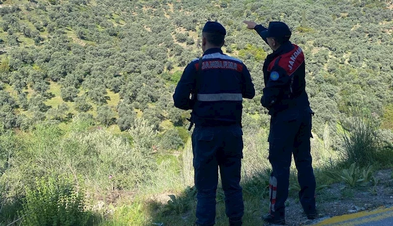 Orman Yangınlarına Karşı Jandarmadan Sıkı Denetim