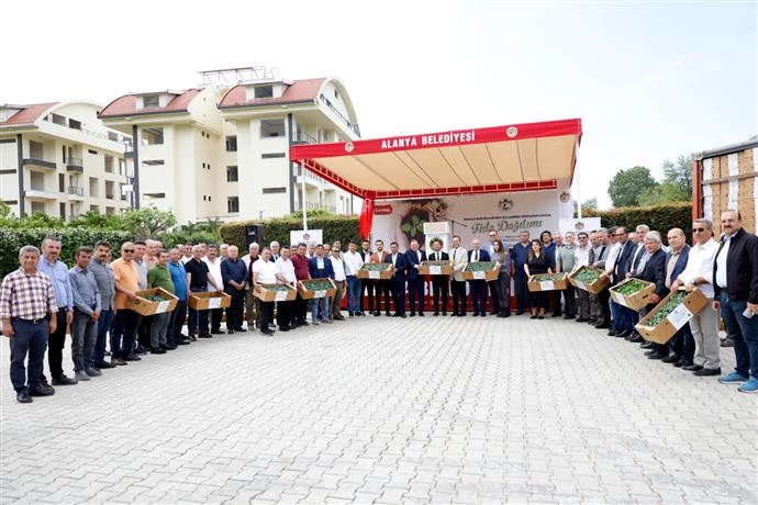 ALANYA BELEDİYESİ’NDEN KIRSAL MAHALLELERE 311 BİN ADET FİDE DESTEĞİ