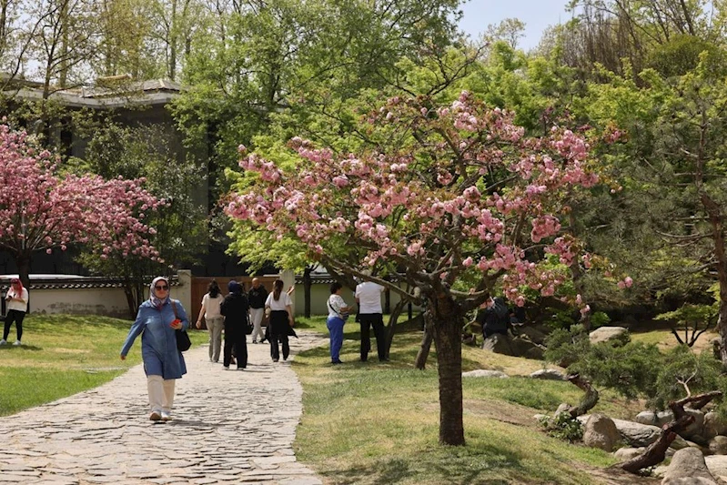 BALTALİMANI JAPON BAHÇESİ’NDE EŞSİZ BİR İLKBAHAR DENEYİMİ
