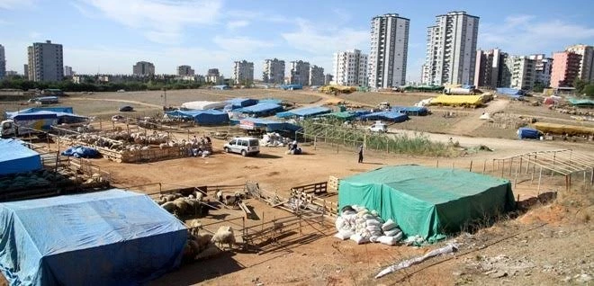 Çukurova’da kurban satış yerleri belirlendi
