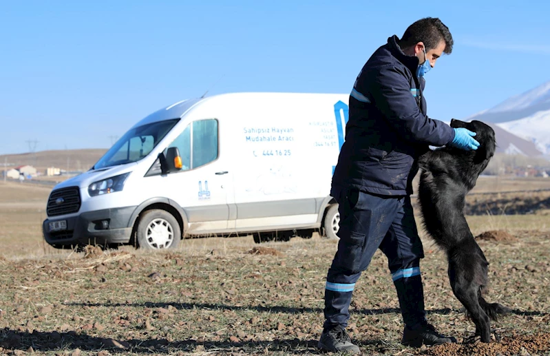 BAKAN SEKMEN: HER CAN BZE EMANET