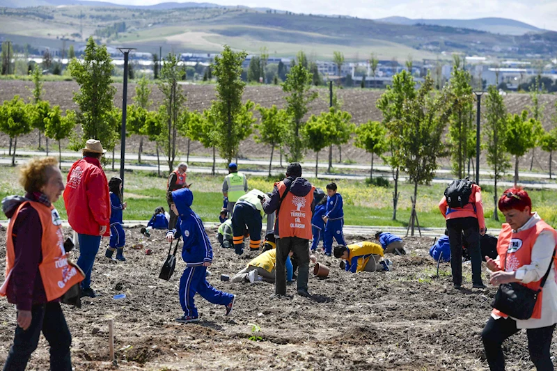 MİNİKLERİN YETİŞTİRDİĞİ MEŞE FİDELERİ BAKAP’TA DOĞAYLA BULUŞTU