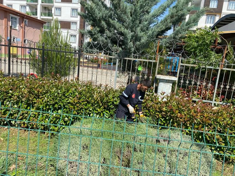 SİİRT