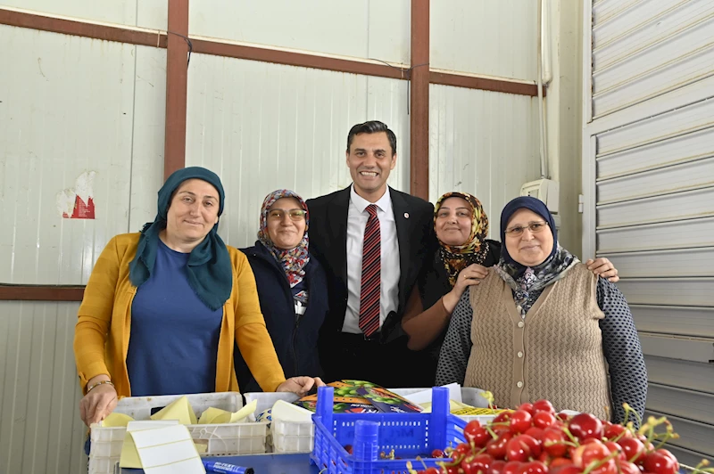 Başkan Zeyrek Kiraz Üreticileriyle Bir Araya Geldi