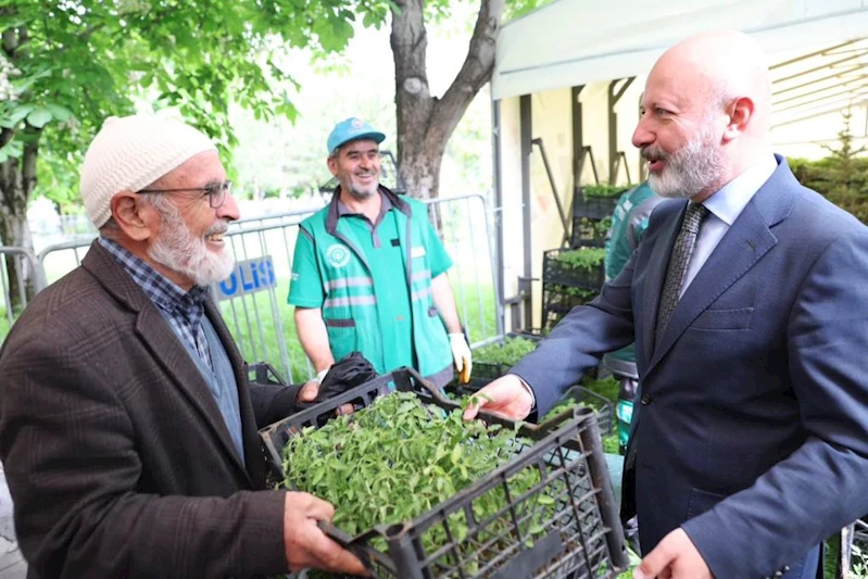 KOCASİNAN’IN ORGANİK DOMATES FİDESİNE VATANDAŞLARDAN YOĞUN İLGİ