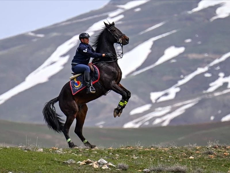 Atlı Jandarma Timi Sınır Hattındaki Arazilerde Devriyede