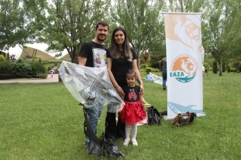 UÇURTMALARLA GÖÇMEN KUŞLARA DİKKAT ÇEKTİLER