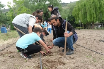FİDELER TOPRAKLA BULUŞTU