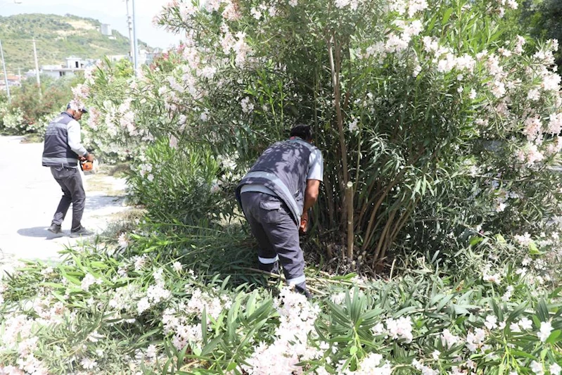 HBB’DEN REFÜJLERDE KAPSAMLI ÇALIŞMA