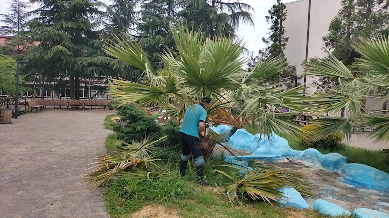 Ortahisar Belediyesi, şehri yaz mevsimine hazırlıyor