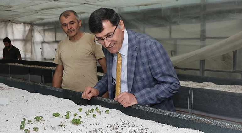 BAŞKAN KAHVECİ TIBBİ VE AROMATİK BİTKİ MERKEZİNİ İNCELEDİ